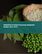 豌豆蛋白質加工設備的全球市場 2023-2027年