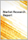 2024 年模組化地板材料全球市場報告