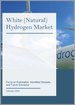 白（天然）氫市場：專注於探勘、已探明的礦藏和未來情景