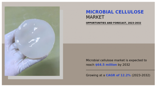 微生物纖維素市場-IMG1