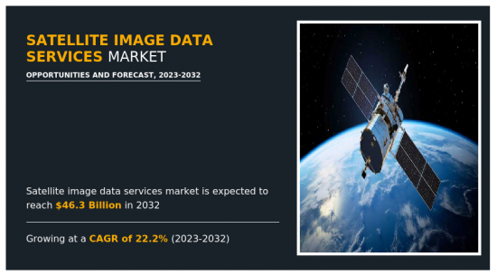 衛星影像資料服務市場-IMG1