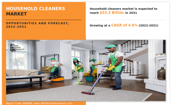 家用清潔劑市場-IMG1