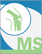 大關節設備的全球市場(2022年～2028年):MedSuite
