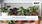 全球室內盆栽植物市場-2022-2029