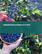 藍莓的全球市場 2023-2027