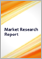 MDR（託管偵測與回應）的全球市場：2024 年